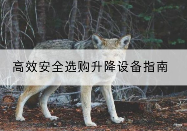 拜泉升降货梯厂家推荐-*安全选购升降设备指南