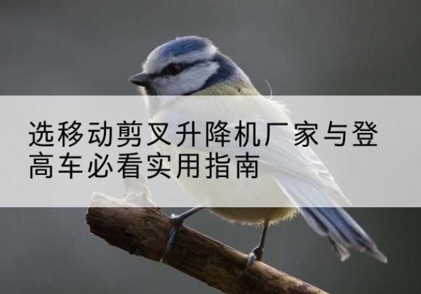 拜泉电动升降机厂家-选移动剪叉升降机厂家与登高车必看实用指南